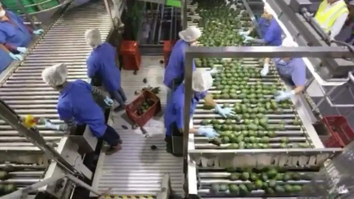 WhatsApp Image 2024-09-16 at 16.51.07 (1)