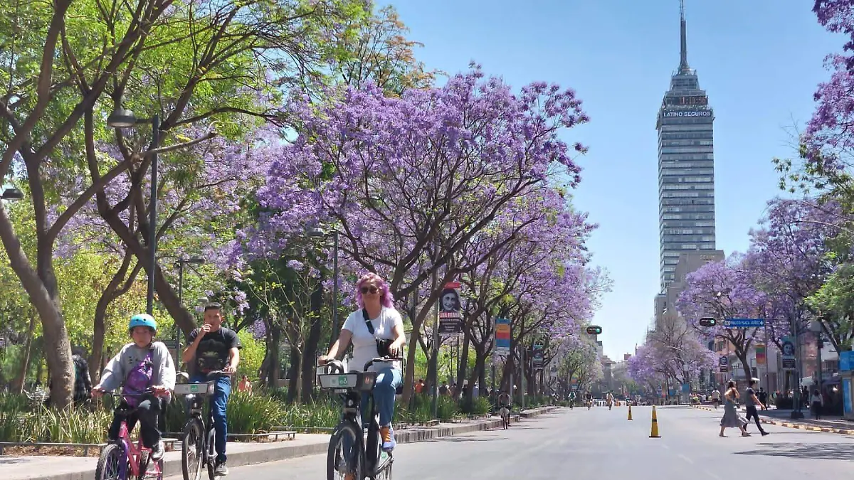 WhatsApp Image 2024-04-10 at 16.53.20 (1)