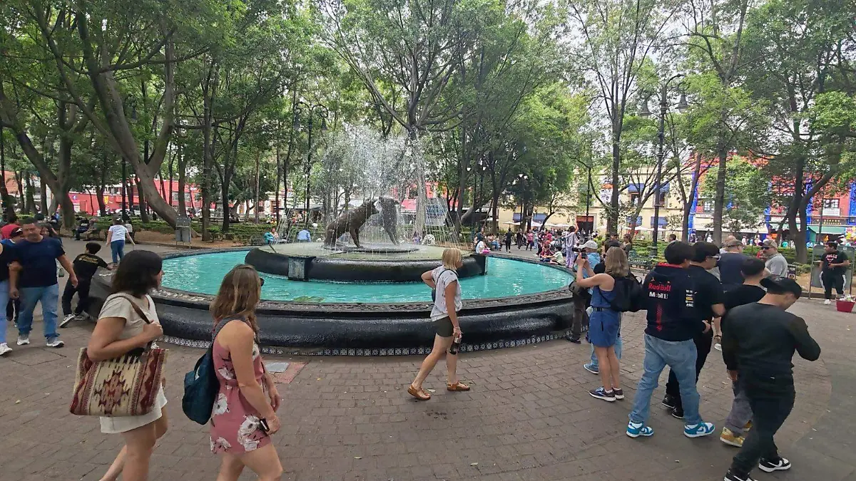 COYOACAN6