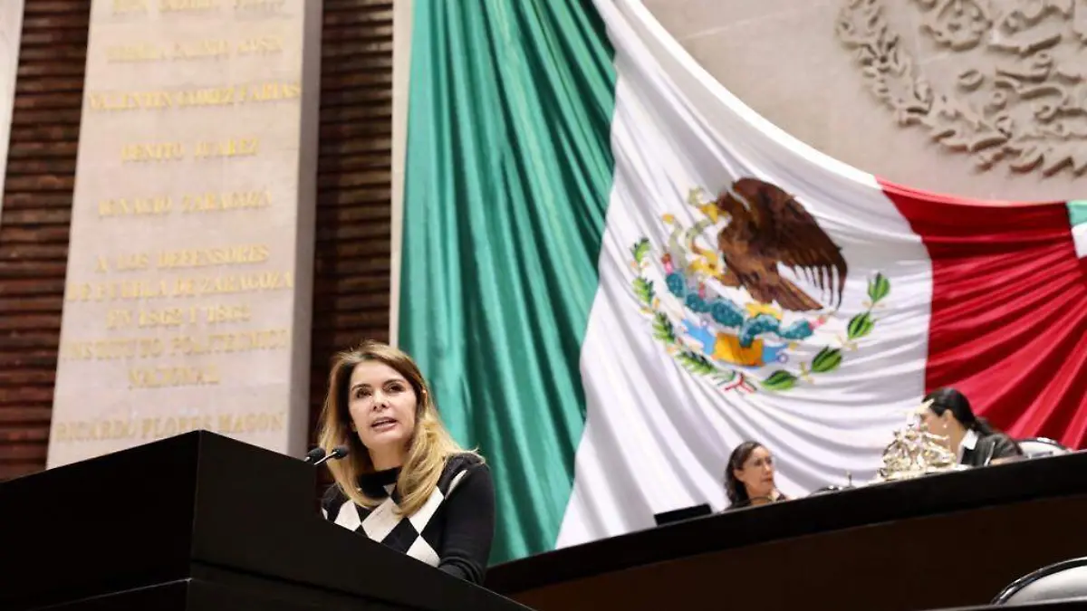 WhatsApp Image 2024-01-18 at 15.54.24