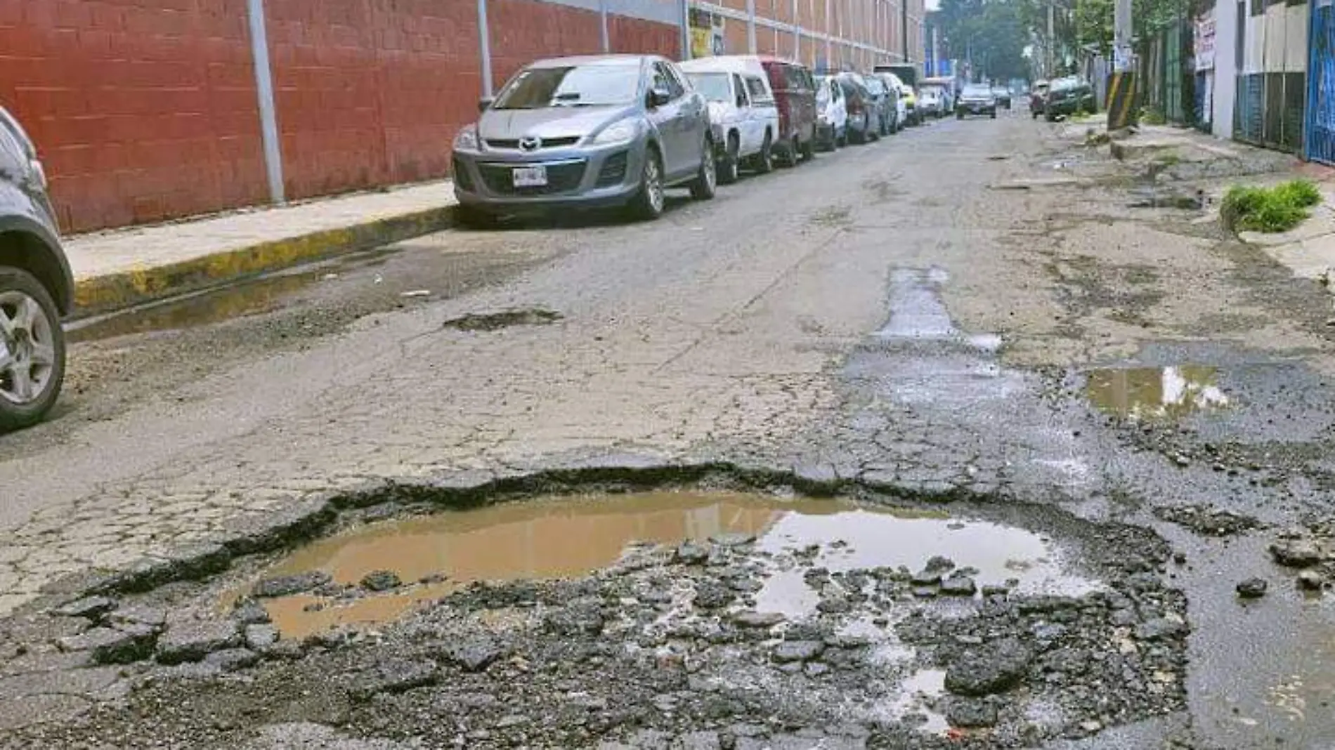 BACHES-NOELALVARADO