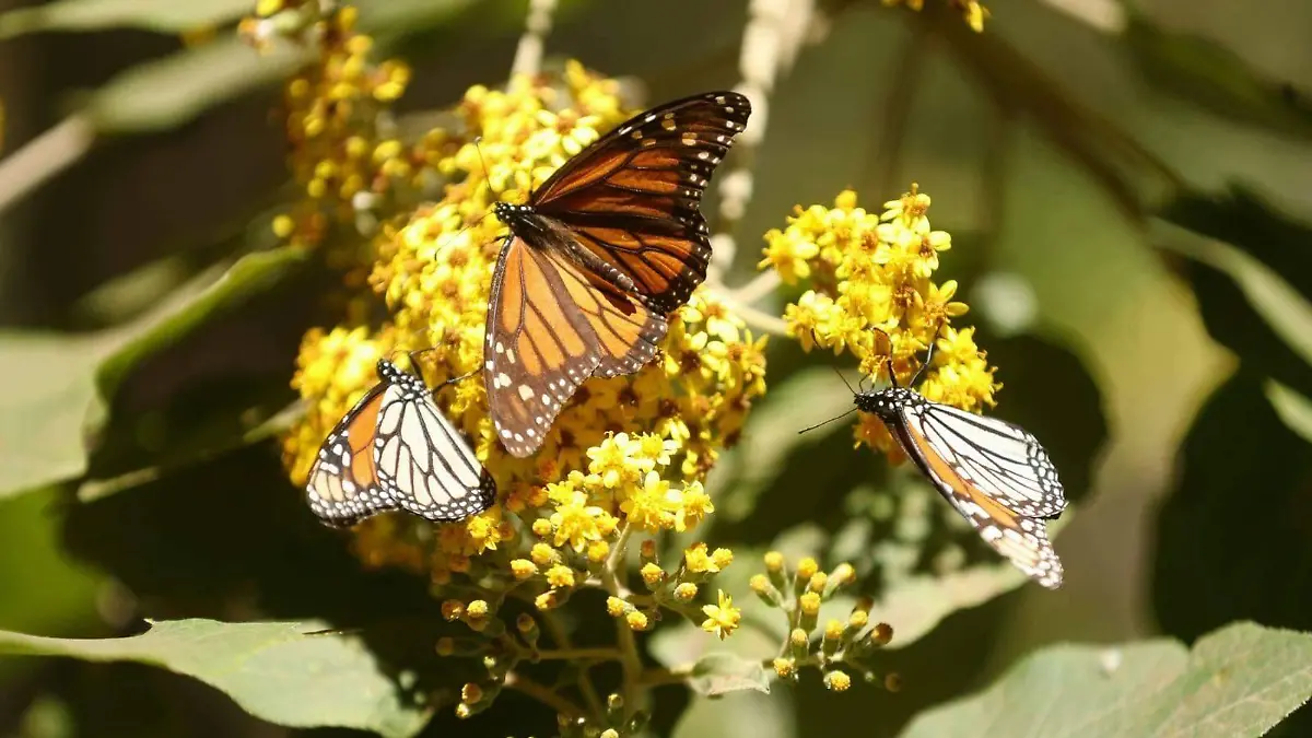 WhatsApp Image 2023-11-16 at 12.42.53