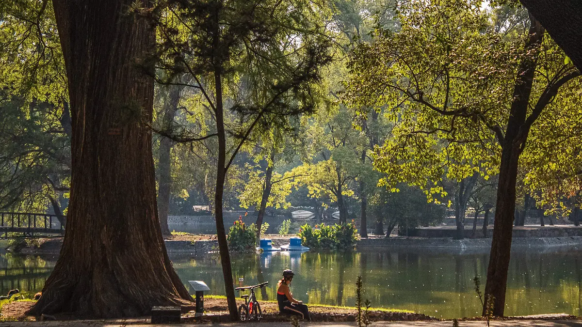 CHAPULTEPEC-AVERDES1