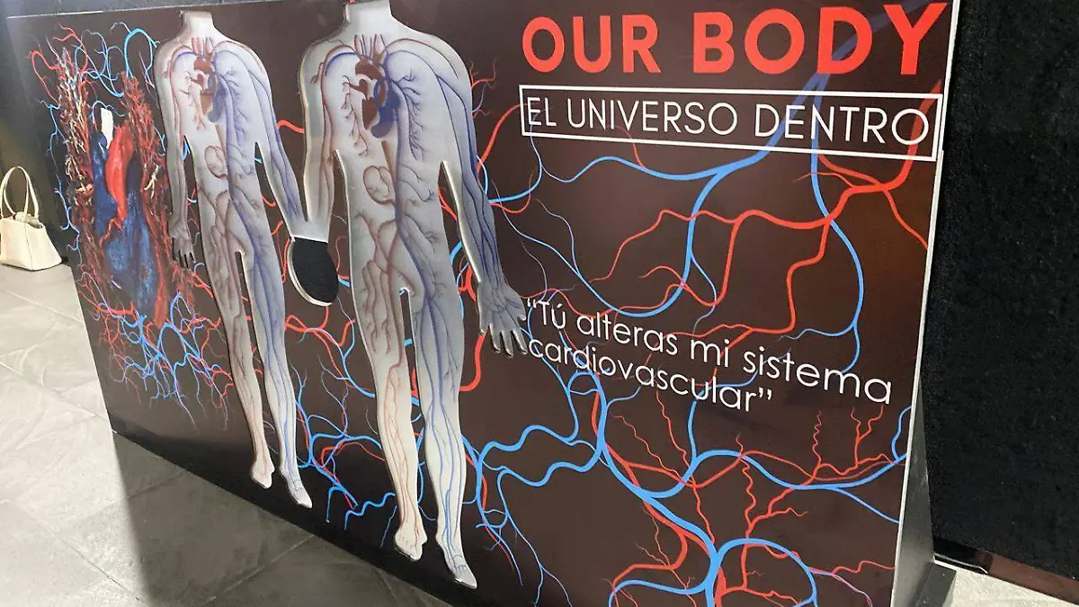 Exposición Our Body  (6)