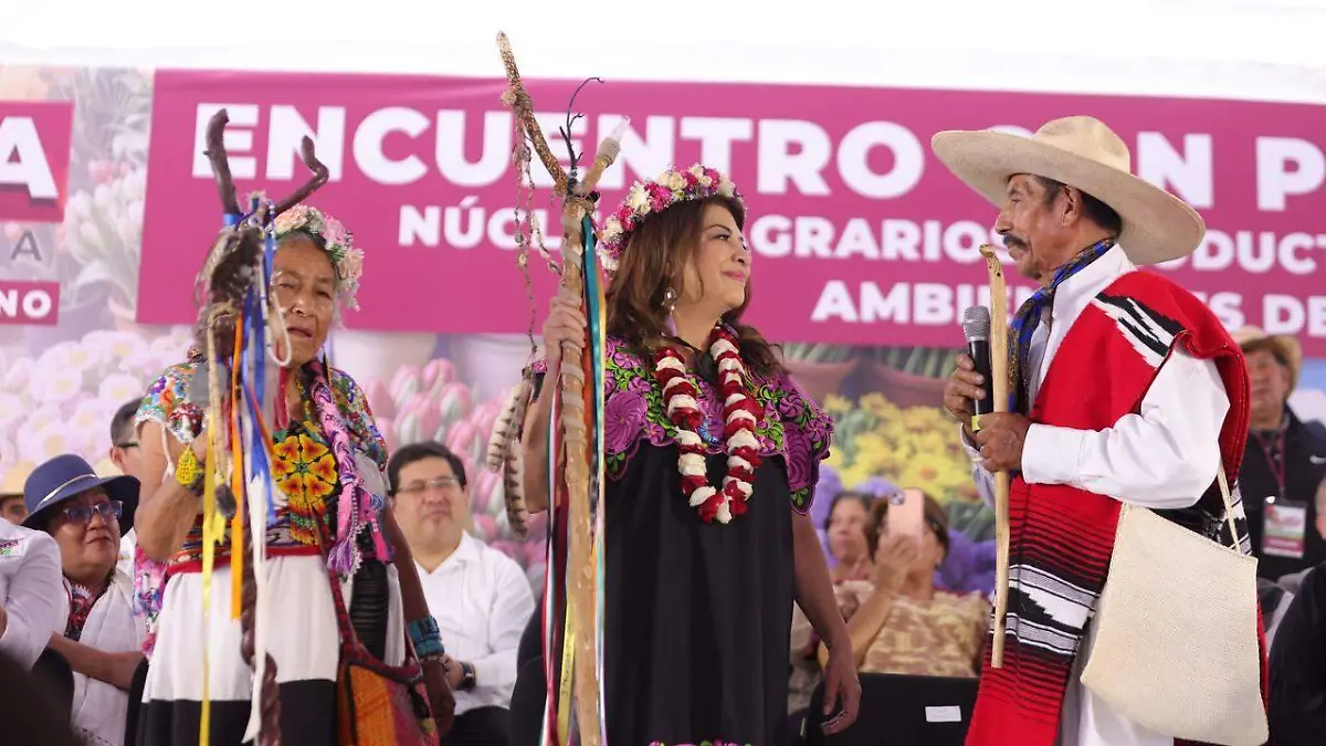 clara contra tala CORTESIA