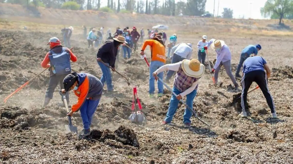 Limpian laguna de Zumpango