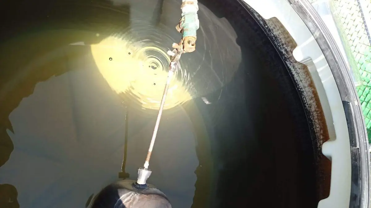 agua sucia los reyes HILDA ESCALONA