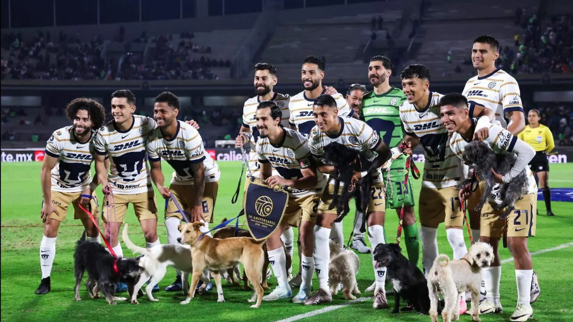 Brigada de vigilancia Animal y Pumas