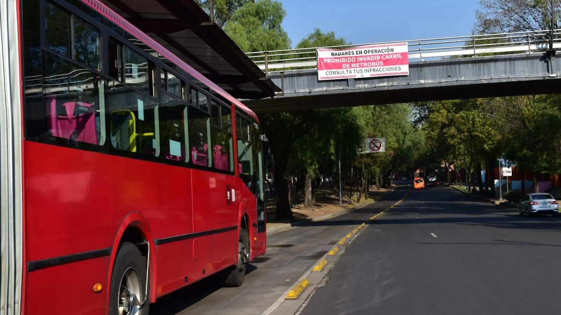 METROBUSAMORES1