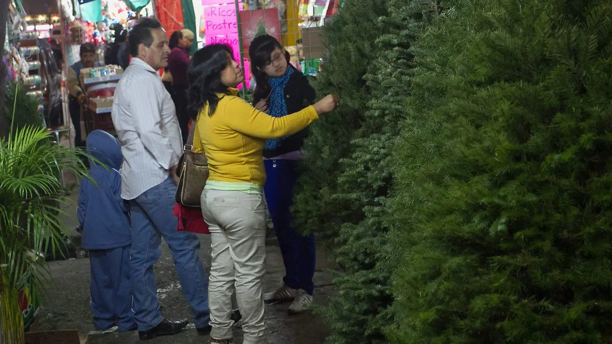 483176_Venta Arbol de Navidad 2_web