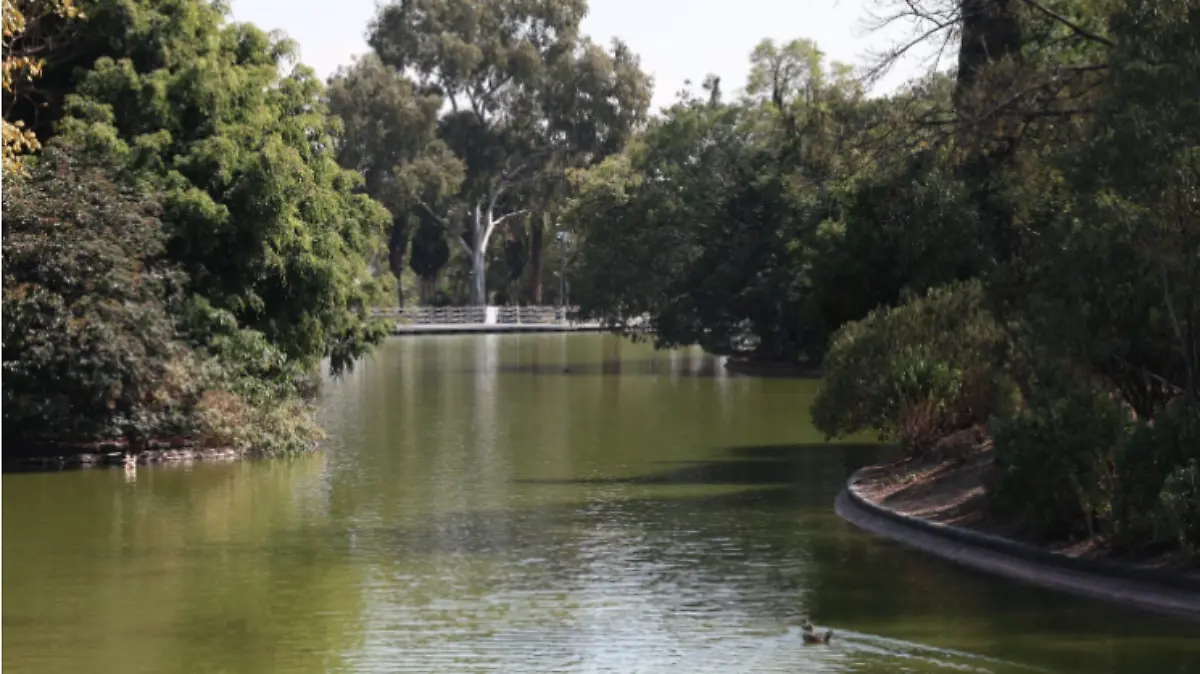 Captura de Pantalla 2023-11-11 a la(s) 11.31.40