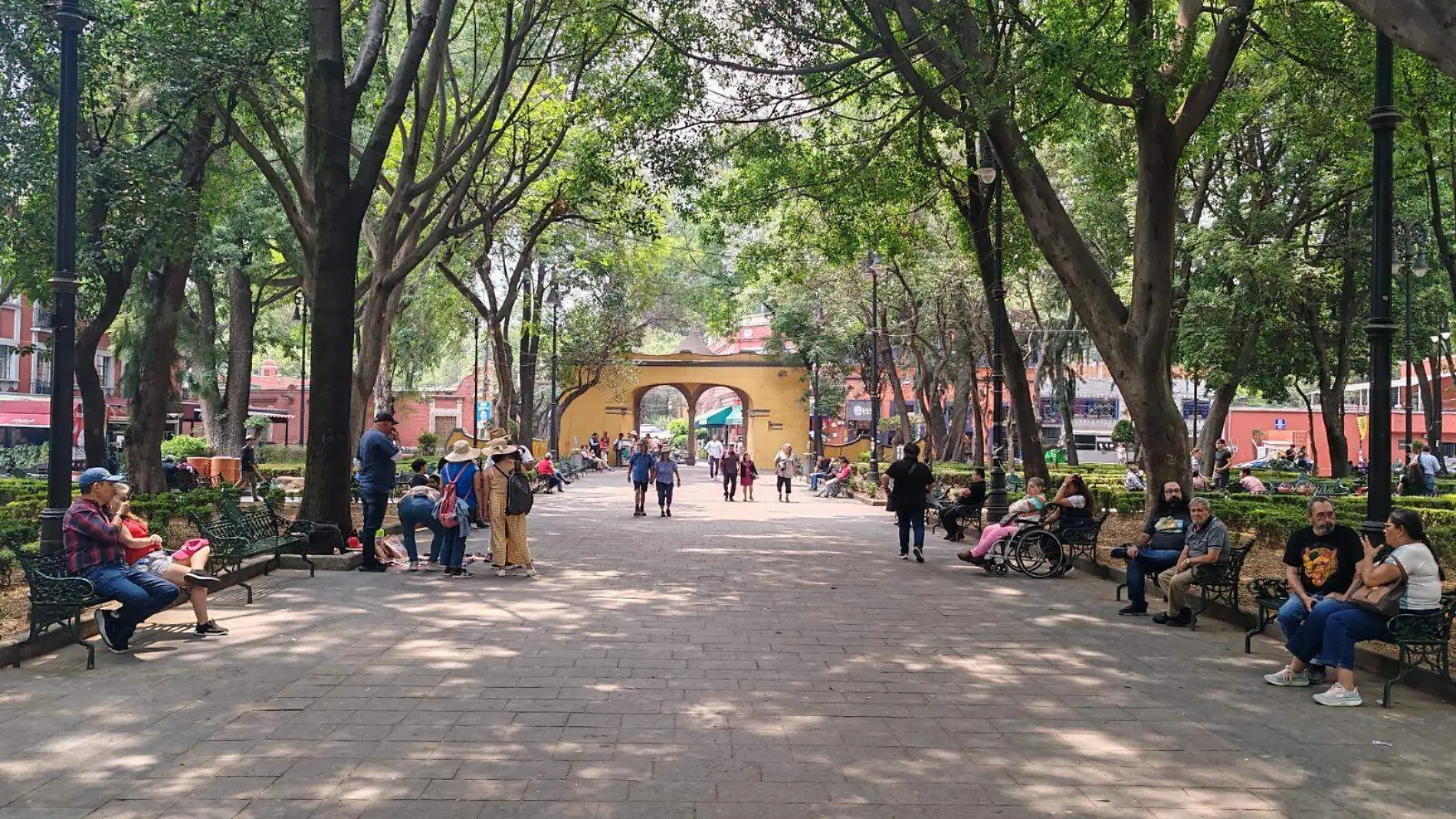 COYOACAN5