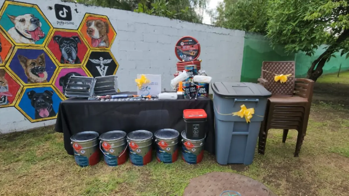 Conmemora Metro su séptimo año al cuidado de los lomitos en el Centro de Transferencia Canina 3