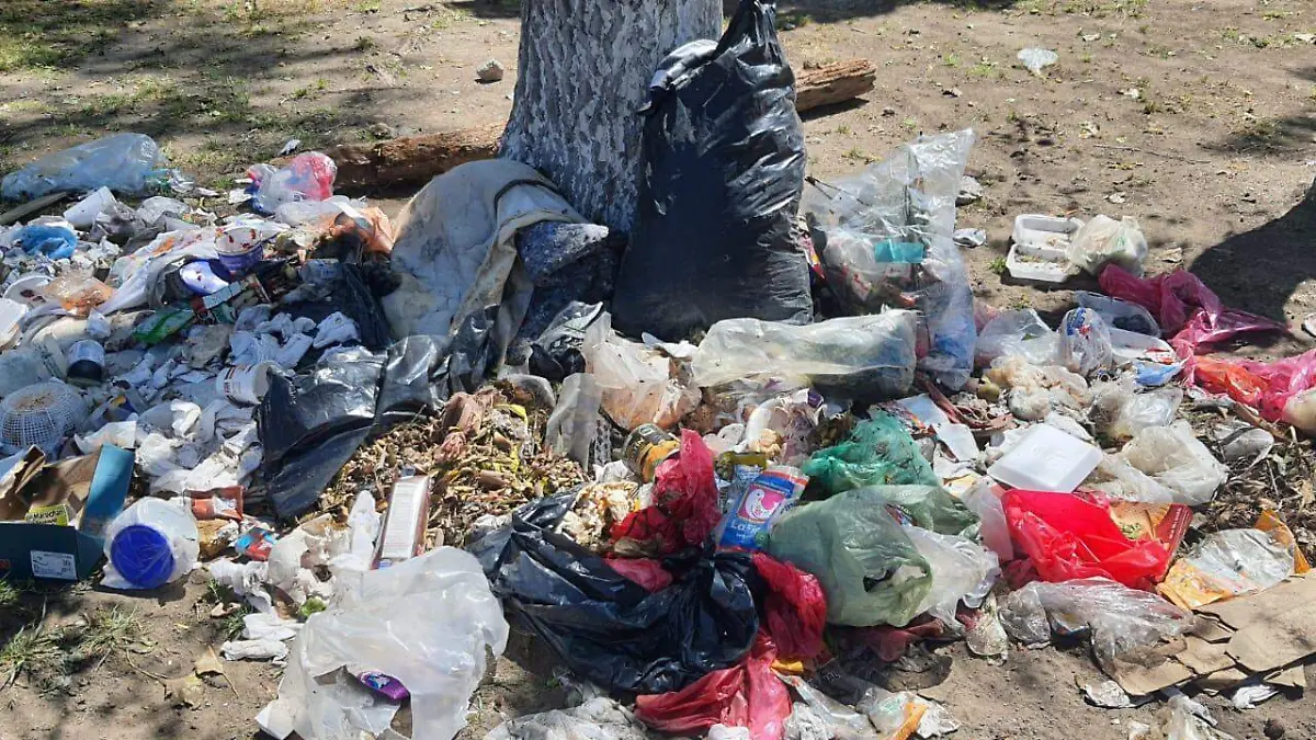 Aplicará Edomex programa Basura Cero como en CDMX-int3