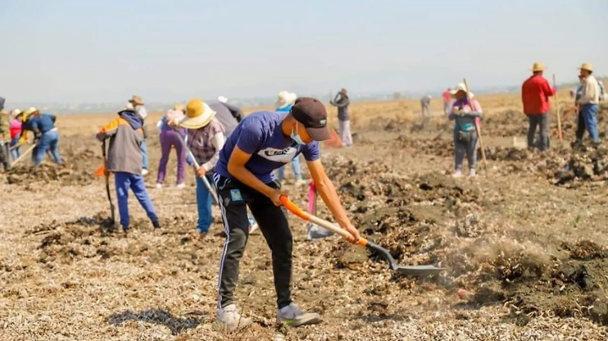 Limpian laguna de Zumpango
