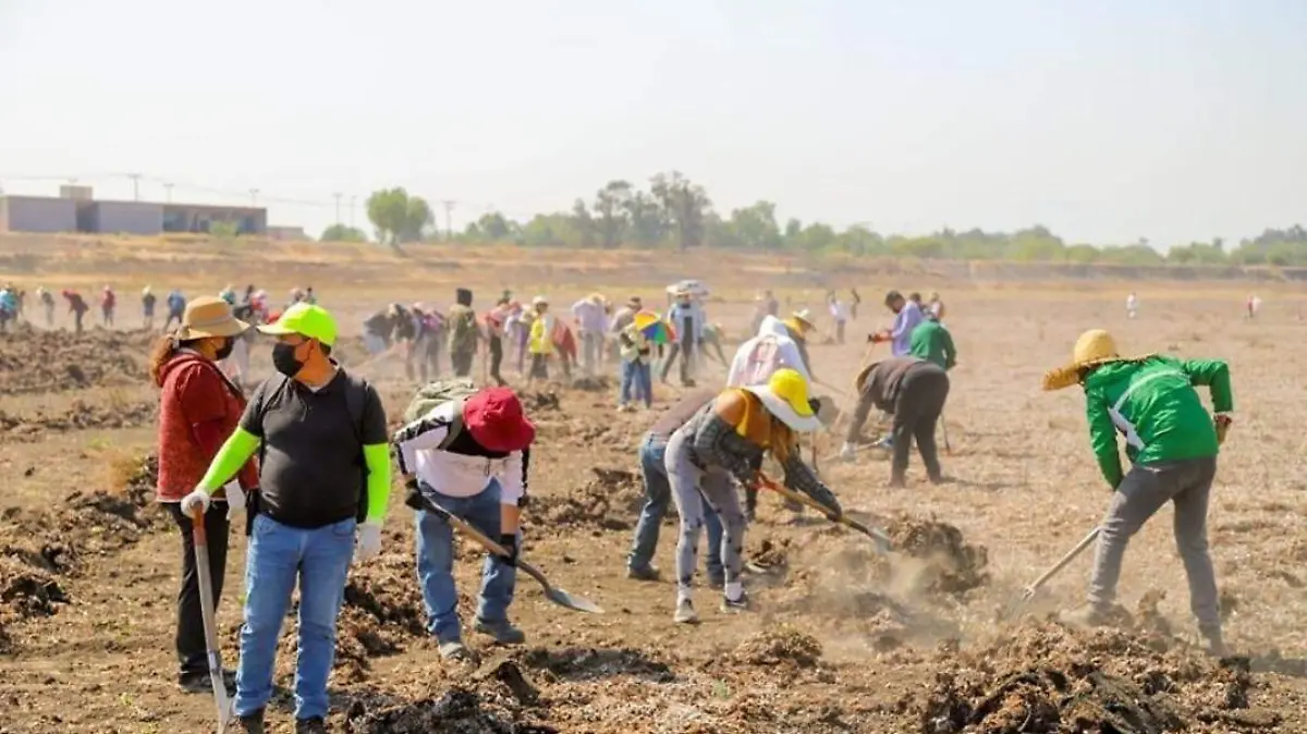 Limpian laguna de Zumpango