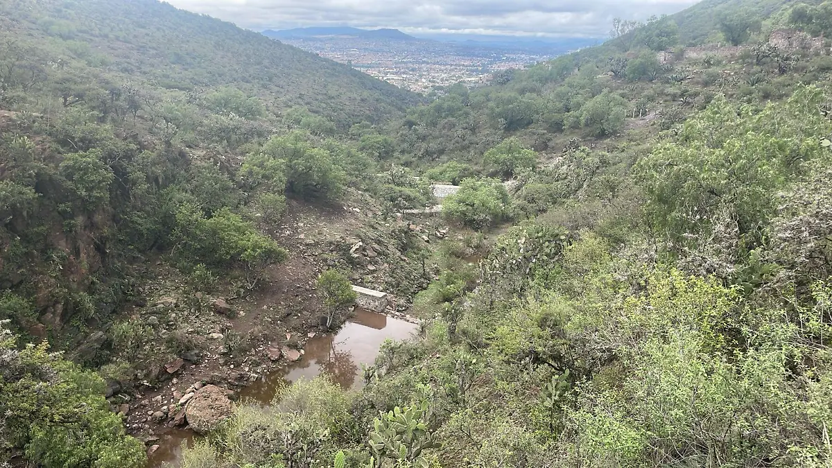 Sierra de Guadalupe