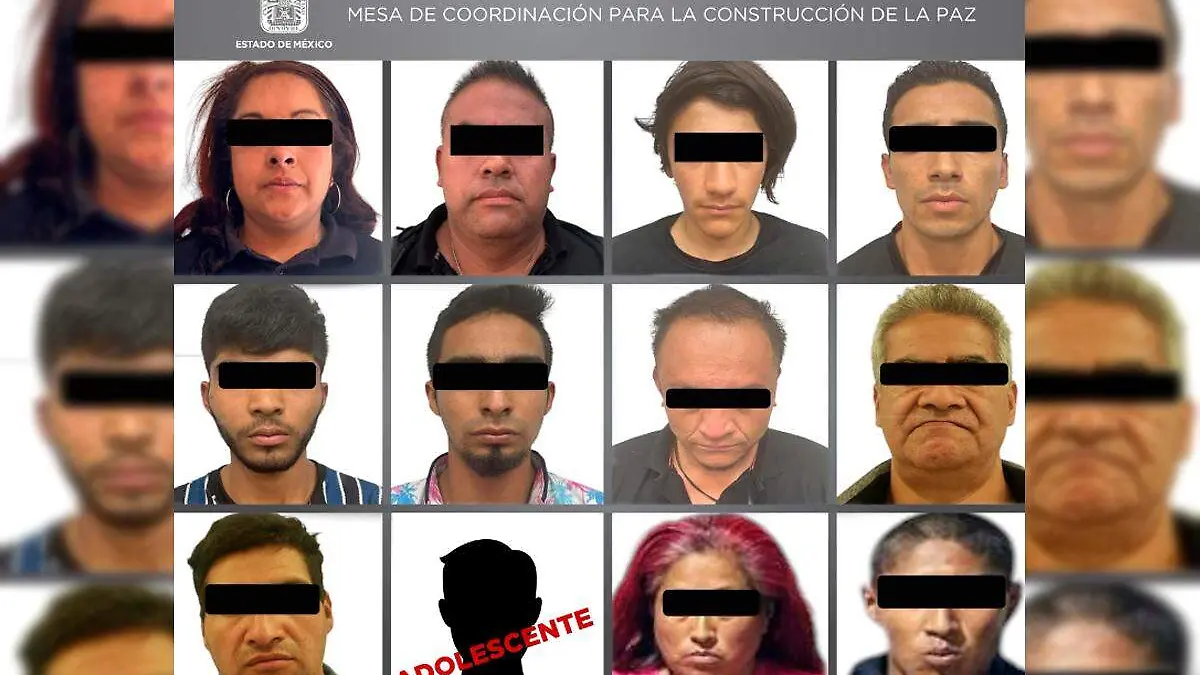 12 ratones