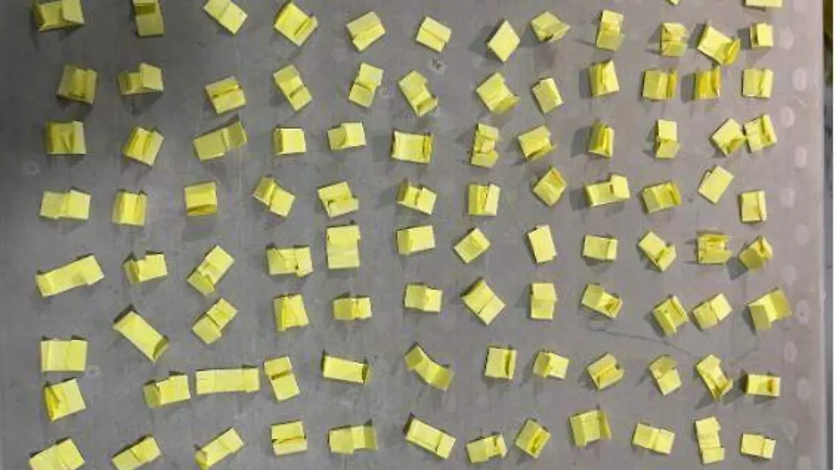 Cateo en Álvaro Obregón