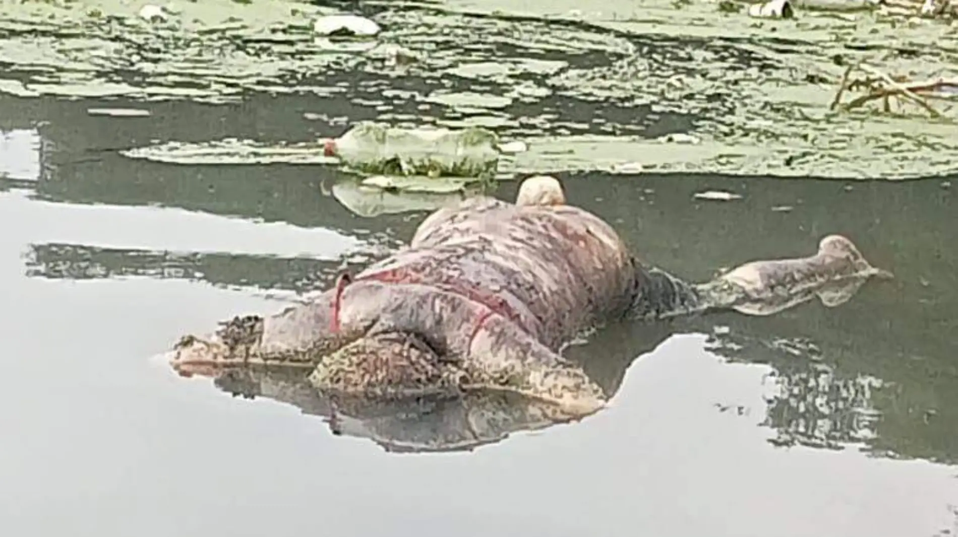 Muere mujer y encuentran su cuerpo en Lago de Guadalupe, C