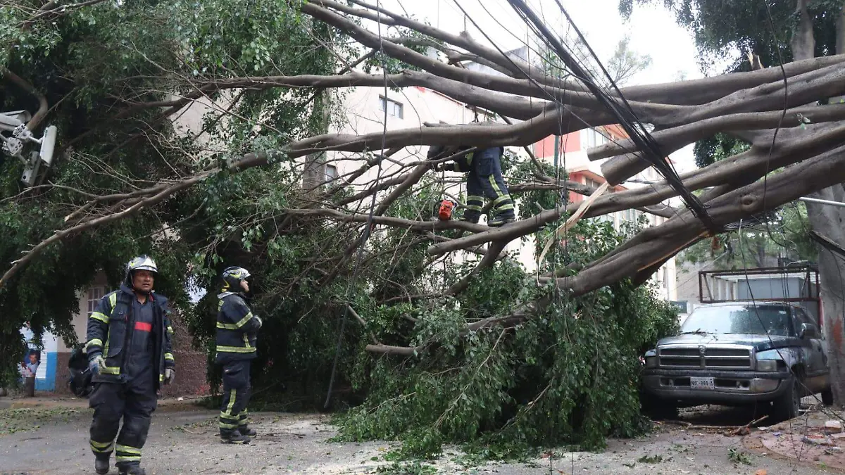 WhatsApp Image 2024-05-08 at 6.02.57 PM