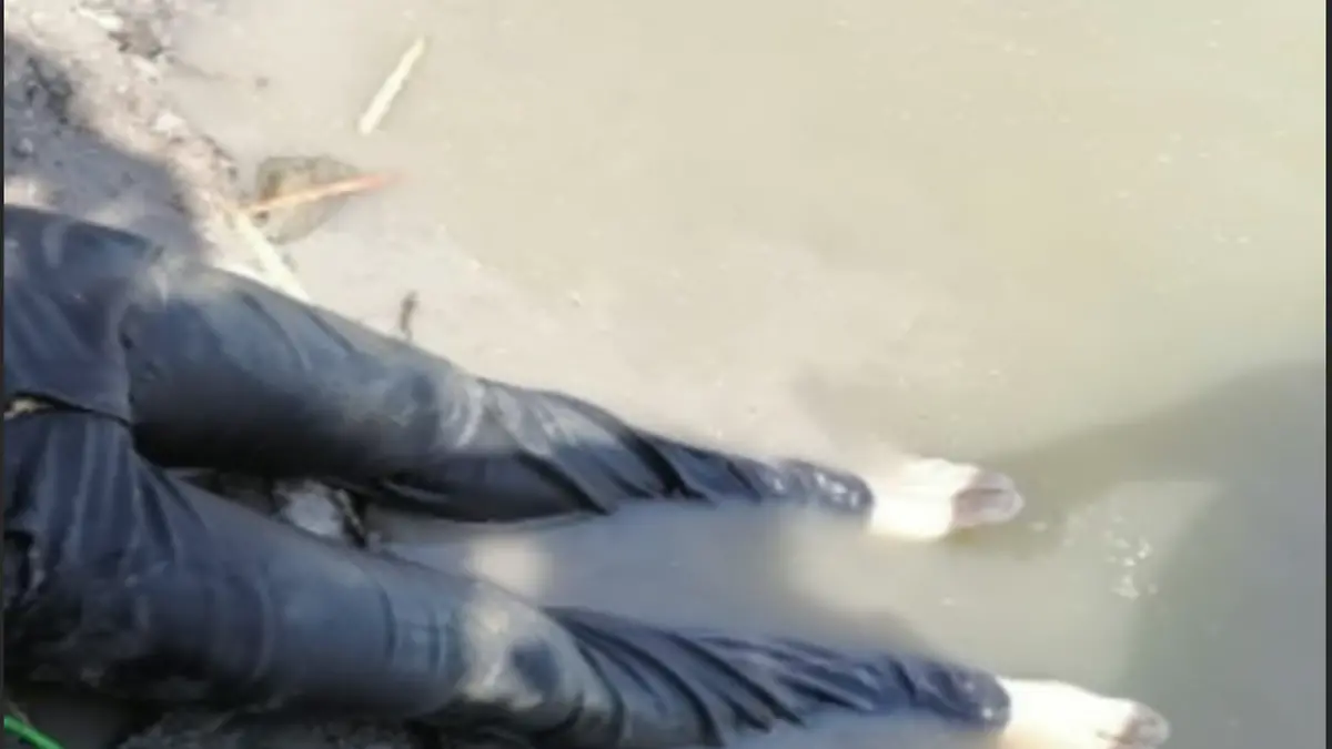 Captura de Pantalla 2021-04-02 a la(s) 21.18.58