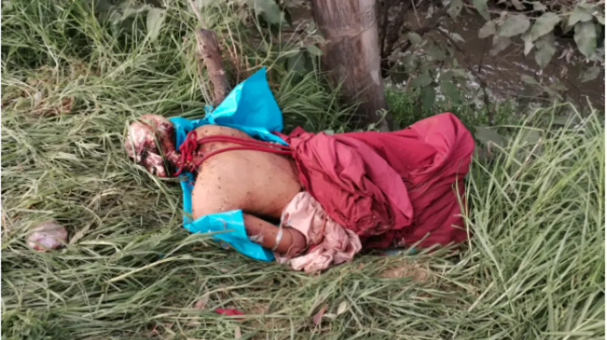 Captura de Pantalla 2020-10-16 a la(s) 19.02.02