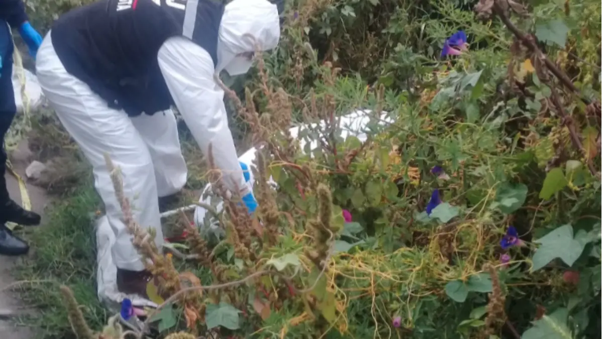 Captura de Pantalla 2020-09-19 a la(s) 14.41.53