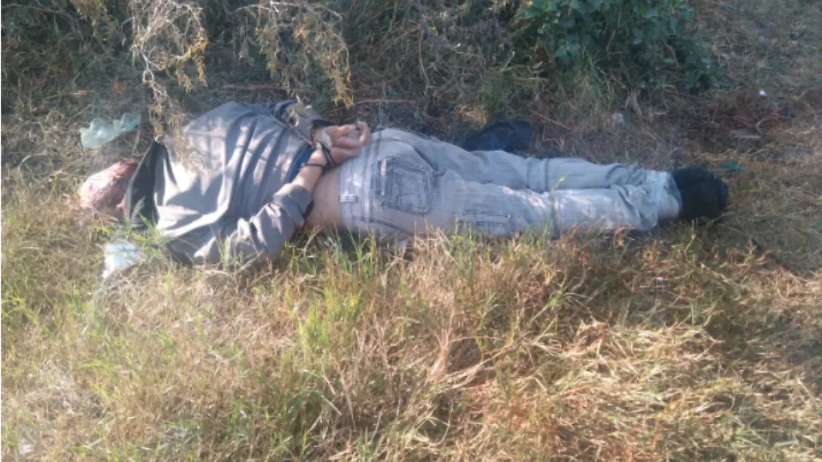 Captura de pantalla 2020-12-19 a la(s) 16.35.01