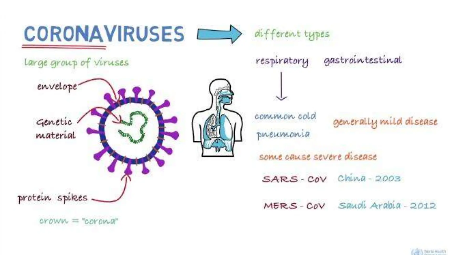 Coronavirus