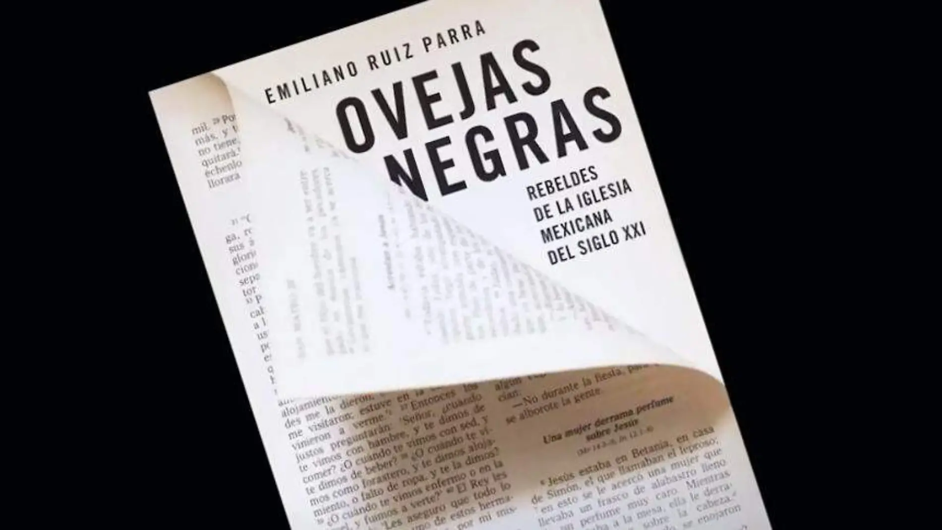 obejas-negras