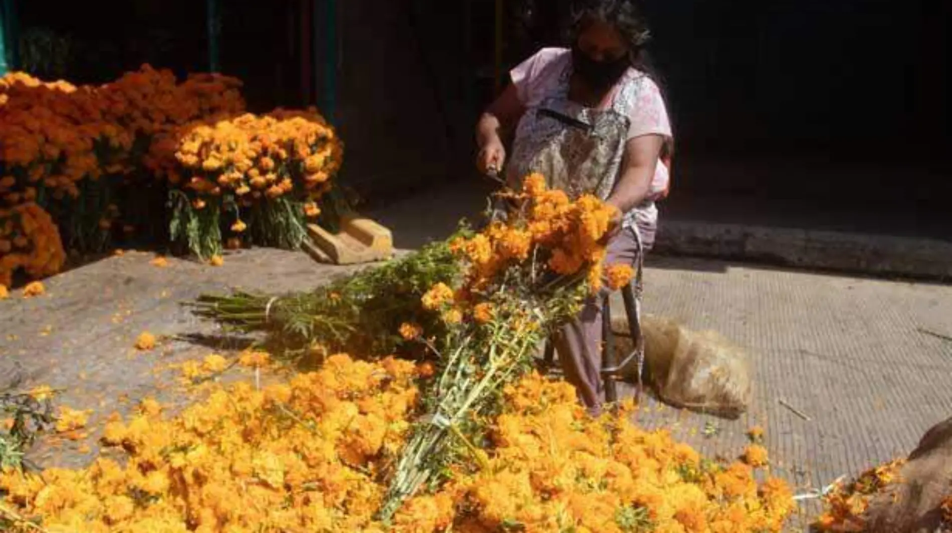 romeria-dia-de-muertos