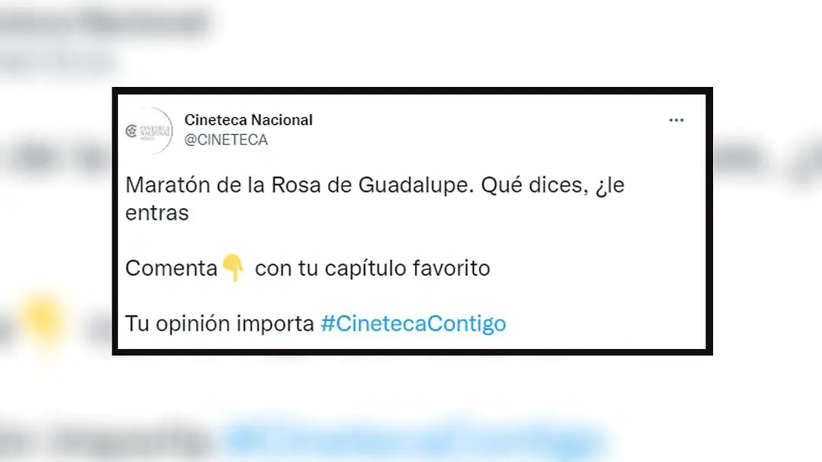 cineteca fake(1)