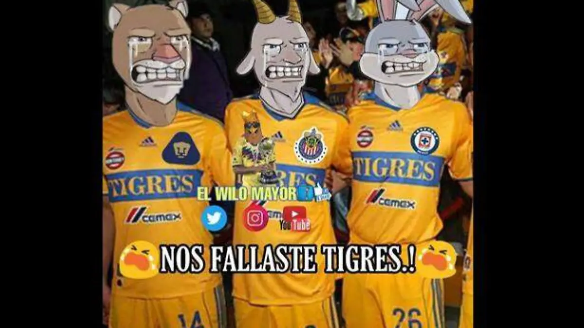 meme tigres américa