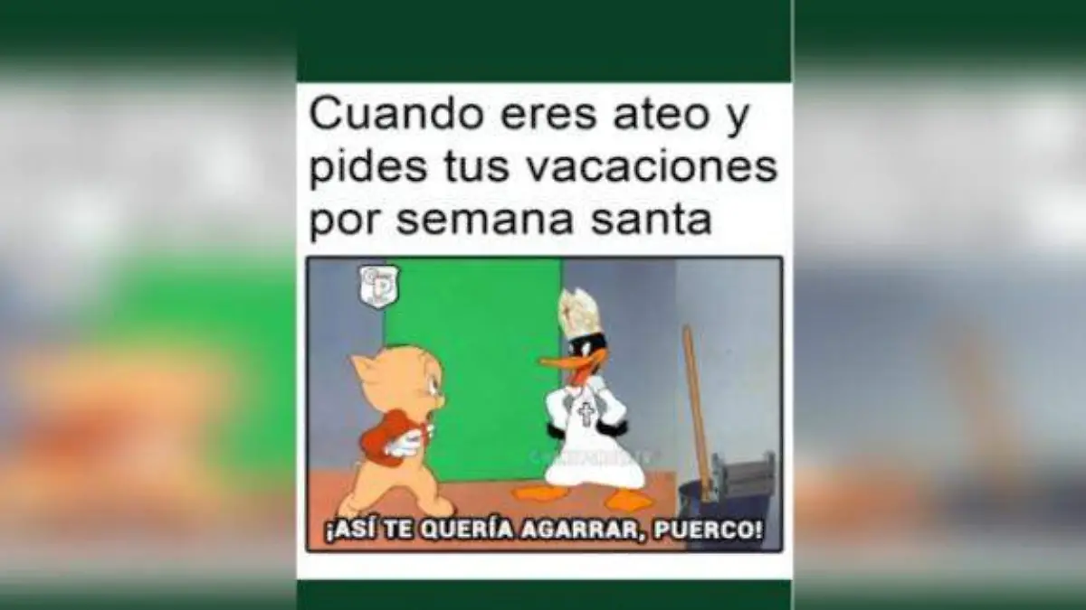 WhatsApp Image 2022-04-14 at 3.44.47 PM