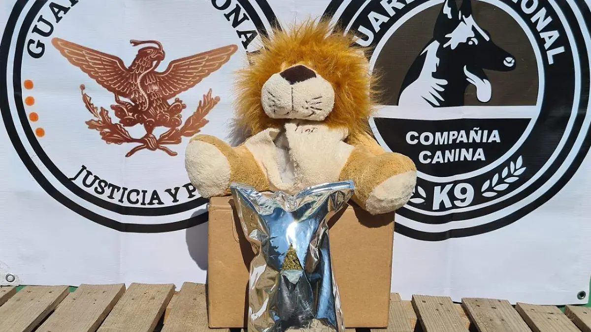 leo1