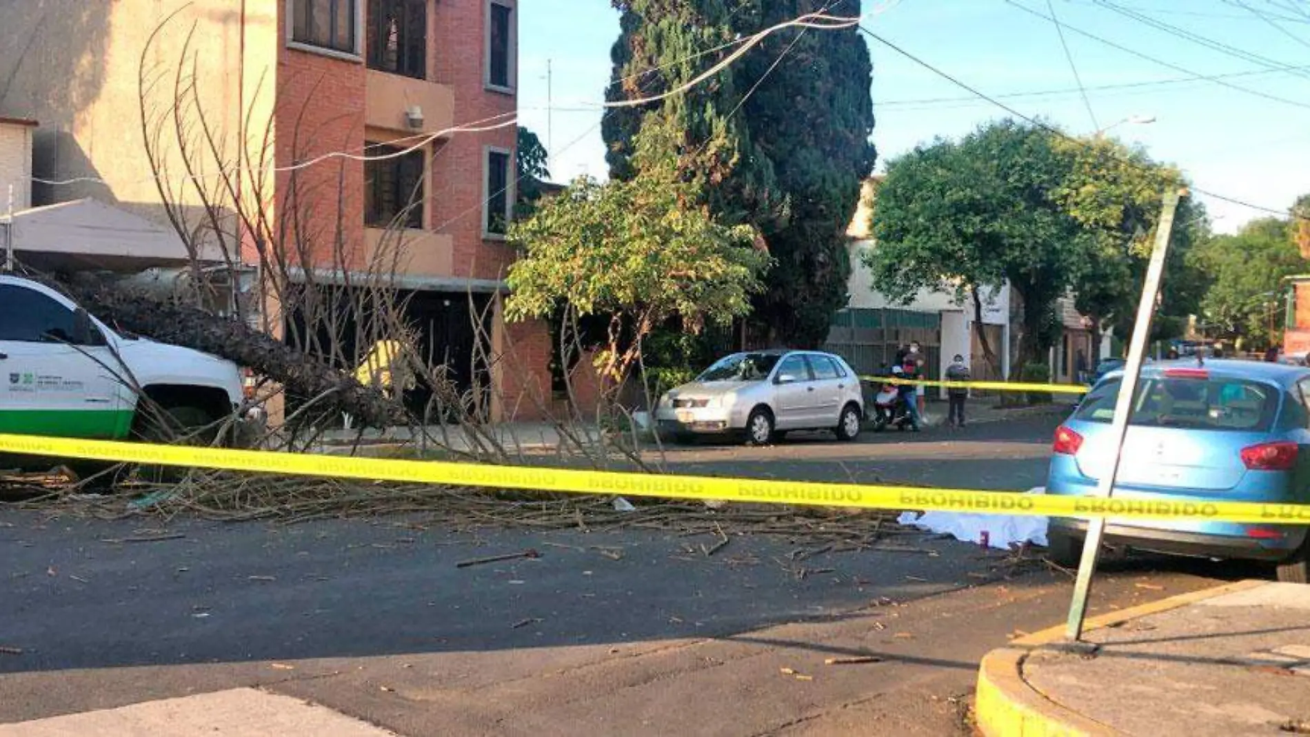 Muerto-en-coyoacán