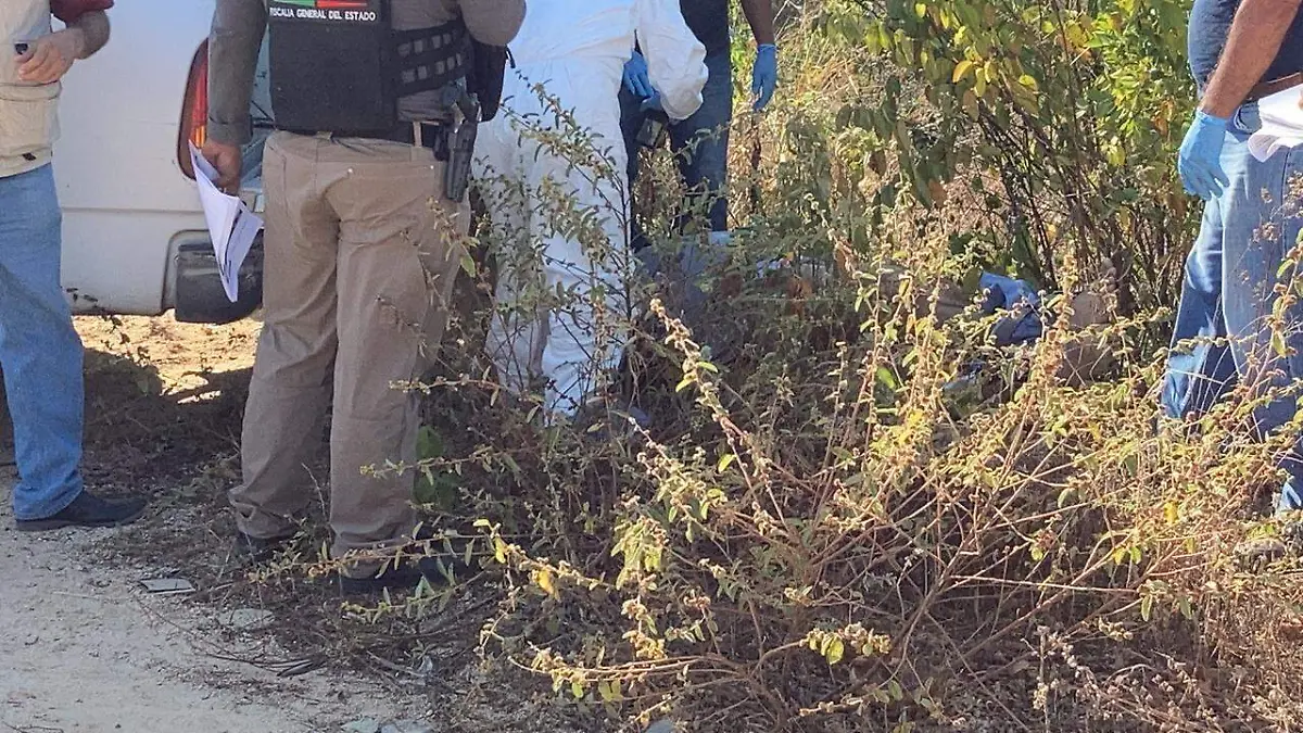 WhatsApp Image 2020-12-11 at 6.23.56 PM (1)