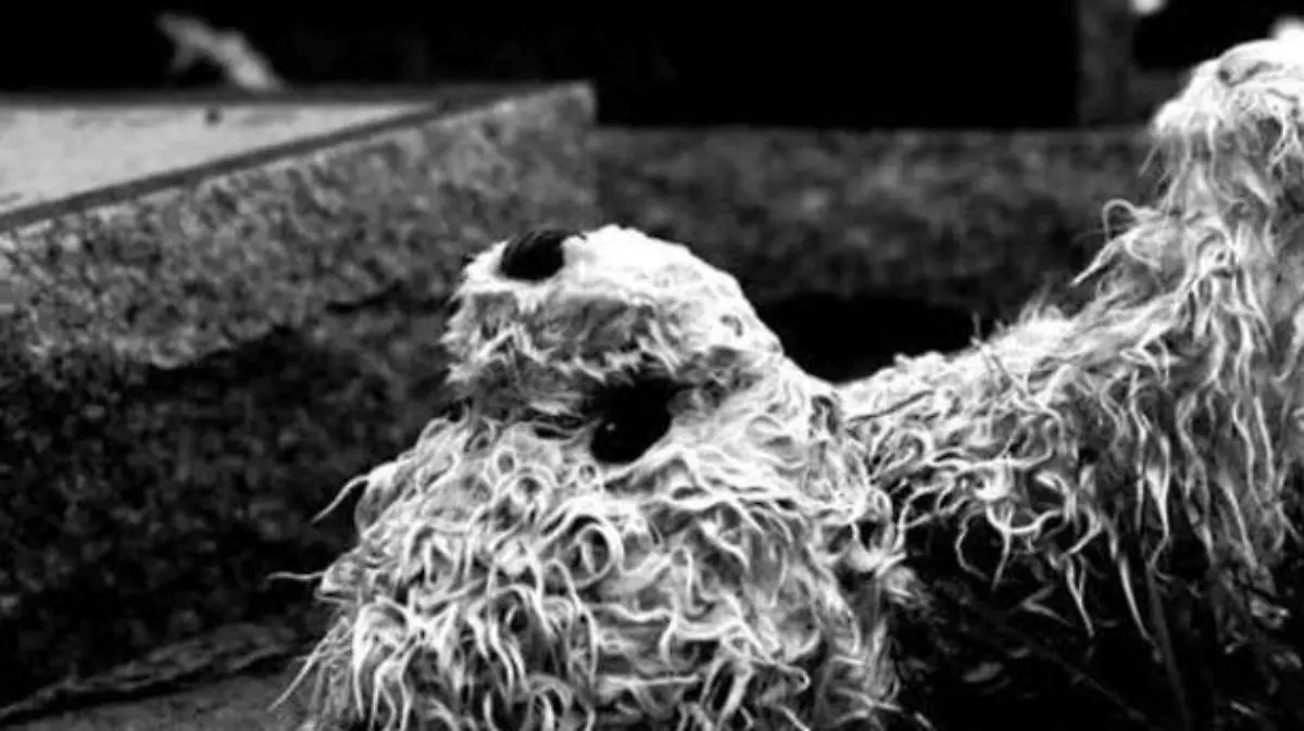 suicidio-infantil