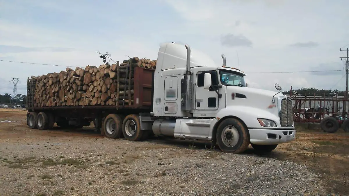 WhatsApp Image 2022-09-10 at 8.34.14 PM