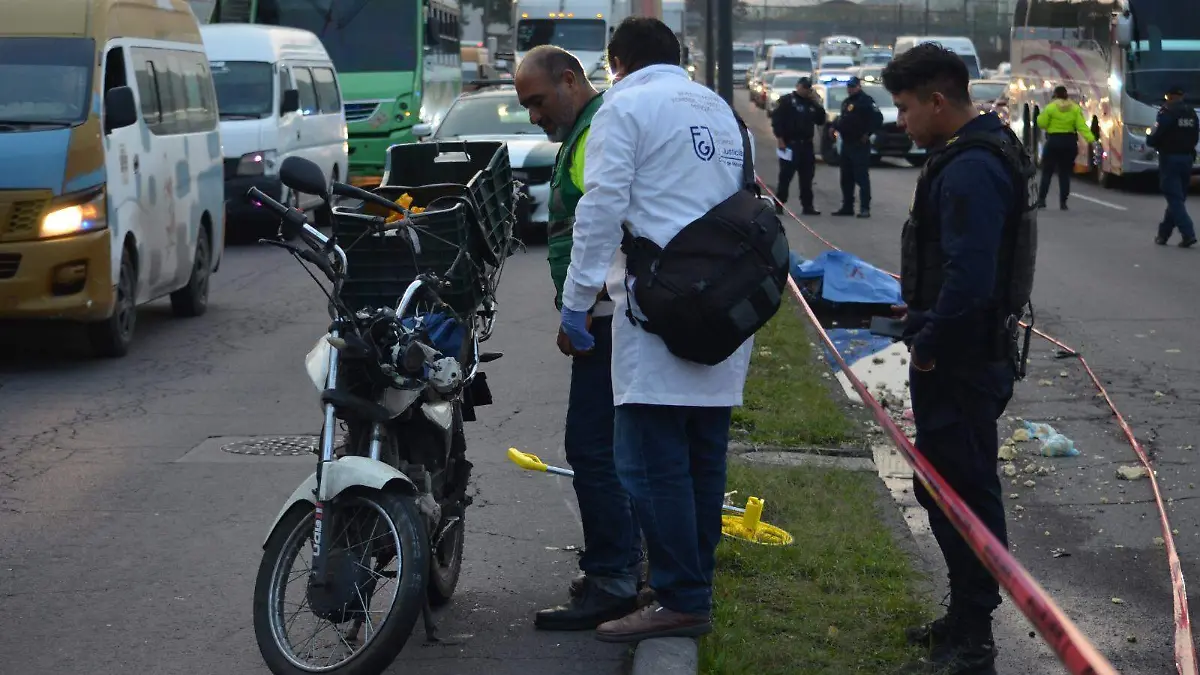 WhatsApp Image 2023-09-18 at 20.16.26