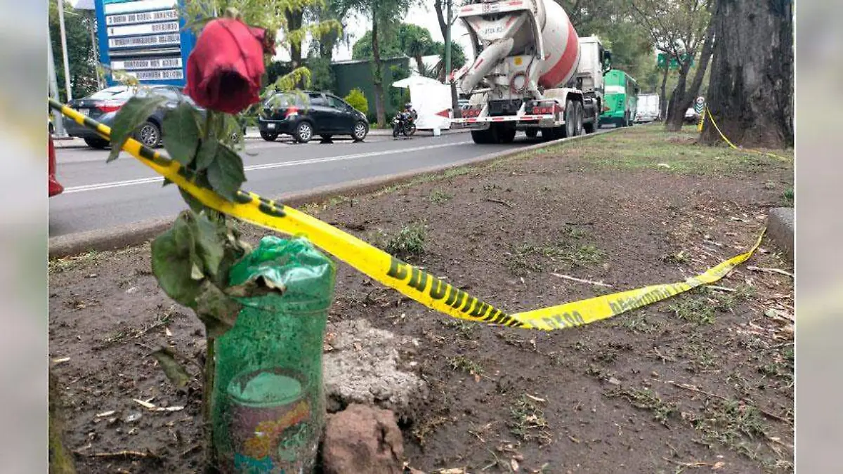 Flor-roja-en-azcapo