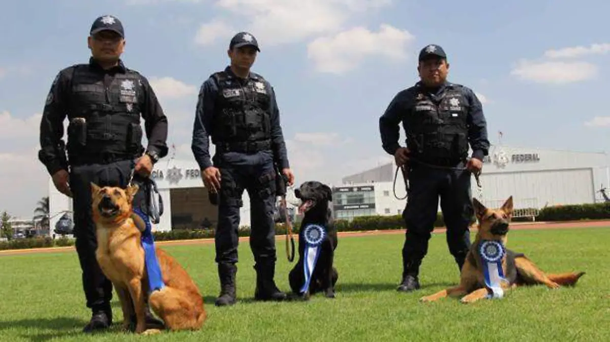 de-jubilación-de-oficiales-caninos-de-la-PF-(2)