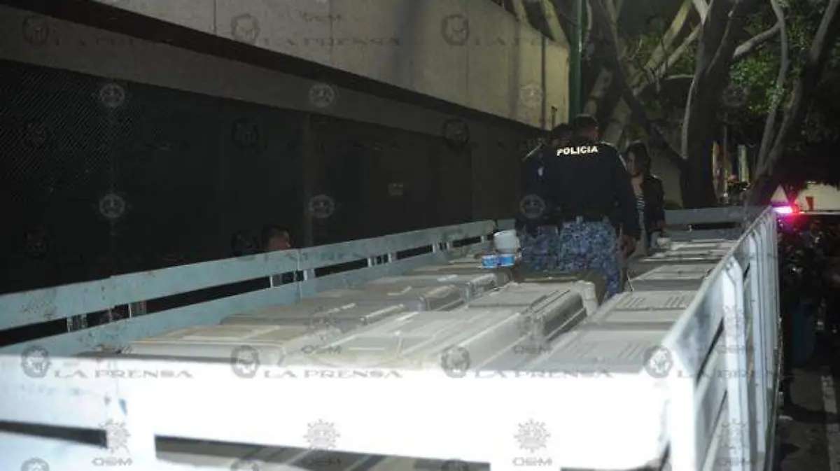 rescate-perros-gam-(4)