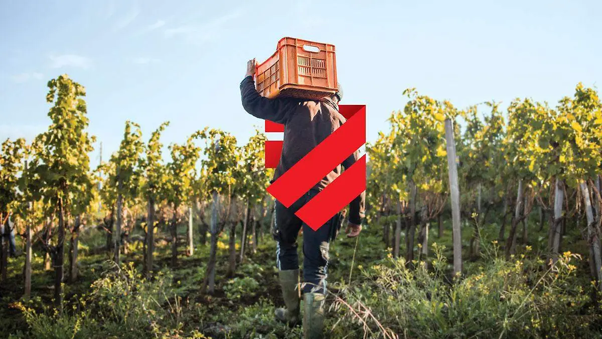 man-farm