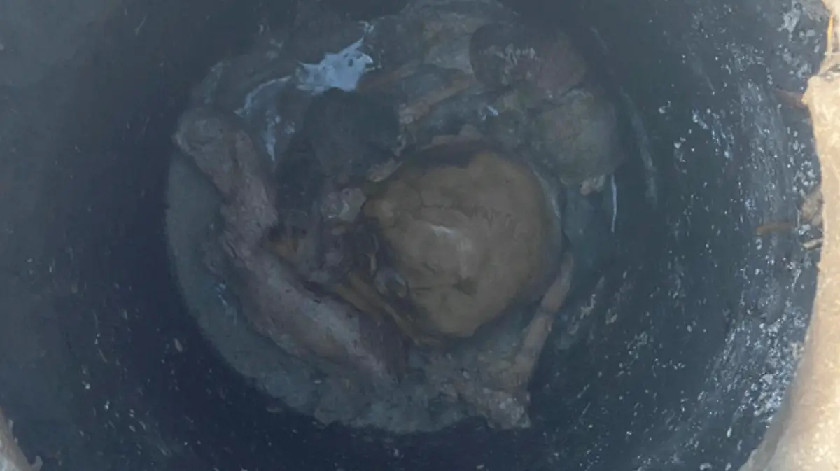 craneo,-restos-humanos,-Edomex