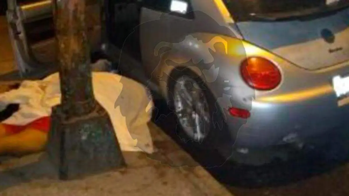 Doble-de-carpinteros