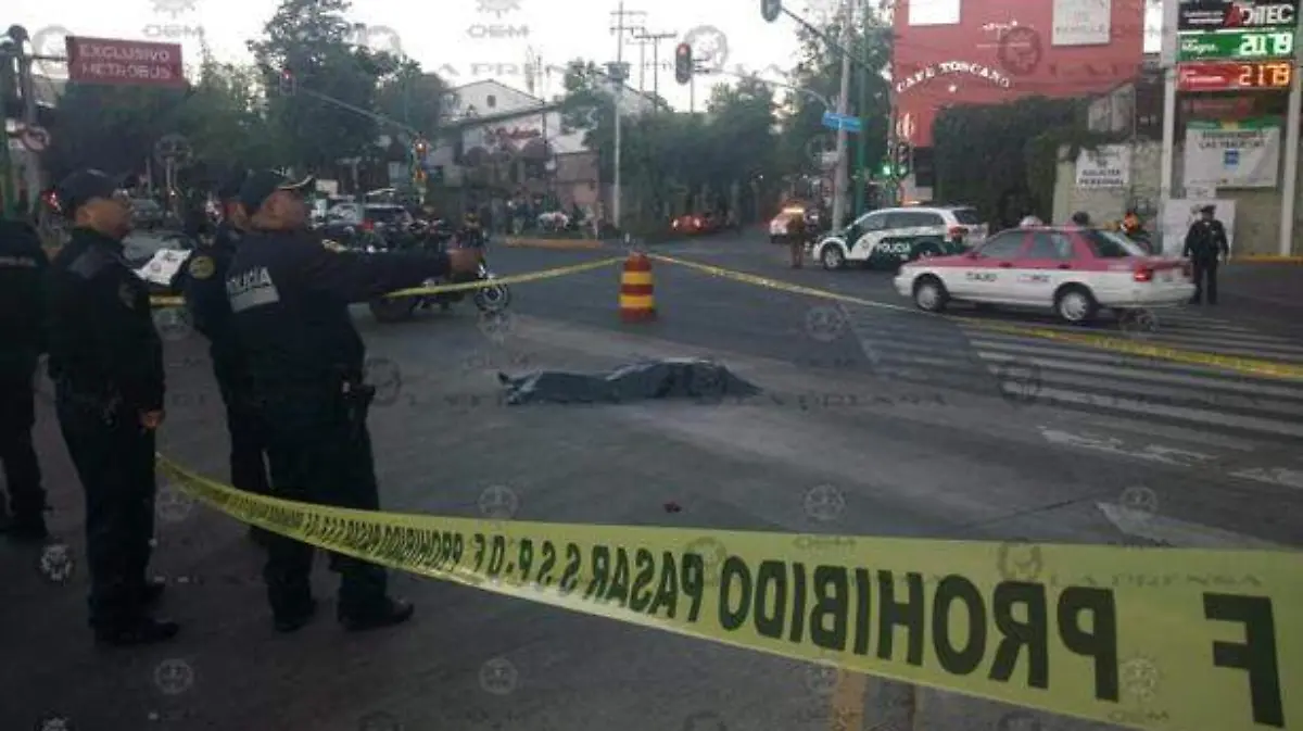 ATROPELLADO-INSURTENTES