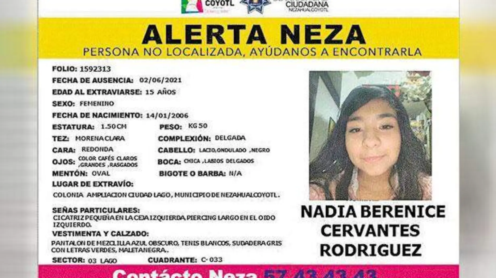 Se-Busca