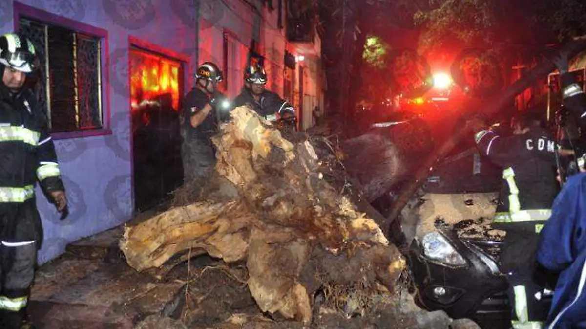 árbol-caído-anahuac